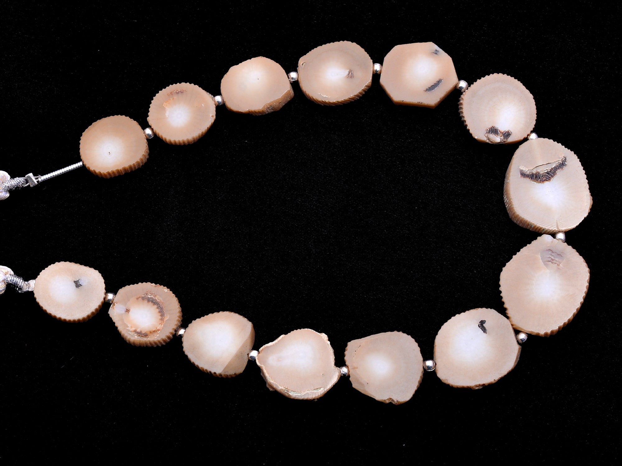 Coral Faceted Slice Beads, Coral Top Drill Slice Beads, Bi Color Coral Beads, Jewelry Making Gemstone Beads, 8.5 Inch